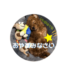 赤ちゃんめいちゃん（個別スタンプ：4）