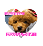 赤ちゃんめいちゃん（個別スタンプ：11）
