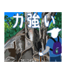 沖縄三線山羊(ヤギ)ちゃんの日常生活5（個別スタンプ：24）