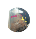 サワガニくんスタンプ（個別スタンプ：1）