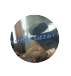 サワガニくんスタンプ（個別スタンプ：24）