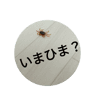 サワガニくんスタンプ（個別スタンプ：29）