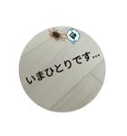 サワガニくんスタンプ（個別スタンプ：30）