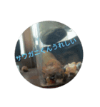 サワガニくんスタンプ（個別スタンプ：32）