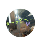 サワガニくんスタンプ（個別スタンプ：34）
