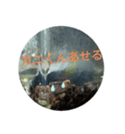 サワガニくんスタンプ（個別スタンプ：40）