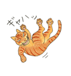 猫の兄弟うーたん・つんたん（個別スタンプ：3）