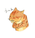 猫の兄弟うーたん・つんたん（個別スタンプ：8）