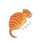 猫の兄弟うーたん・つんたん（個別スタンプ：9）