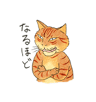 猫の兄弟うーたん・つんたん（個別スタンプ：10）