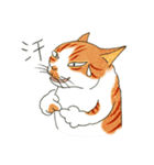 猫の兄弟うーたん・つんたん（個別スタンプ：11）
