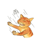 猫の兄弟うーたん・つんたん（個別スタンプ：17）