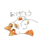 猫の兄弟うーたん・つんたん（個別スタンプ：21）