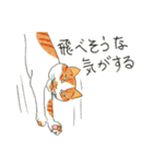 猫の兄弟うーたん・つんたん（個別スタンプ：24）
