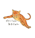 猫の兄弟うーたん・つんたん（個別スタンプ：25）