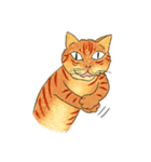 猫の兄弟うーたん・つんたん（個別スタンプ：29）