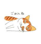 猫の兄弟うーたん・つんたん（個別スタンプ：36）