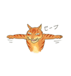 猫の兄弟うーたん・つんたん（個別スタンプ：37）