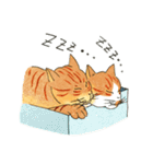 猫の兄弟うーたん・つんたん（個別スタンプ：38）