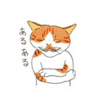 猫の兄弟うーたん・つんたん（個別スタンプ：39）