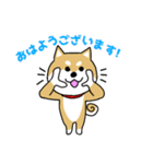 Mr.柴犬の敬語であいさつ（個別スタンプ：1）