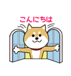 Mr.柴犬の敬語であいさつ（個別スタンプ：2）