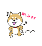 Mr.柴犬の敬語であいさつ（個別スタンプ：18）