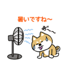 Mr.柴犬の敬語であいさつ（個別スタンプ：27）