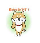 Mr.柴犬の敬語であいさつ（個別スタンプ：31）