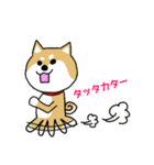 Mr.柴犬の敬語であいさつ（個別スタンプ：35）