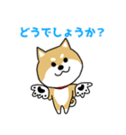 Mr.柴犬の敬語であいさつ（個別スタンプ：36）