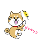 Mr.柴犬の敬語であいさつ（個別スタンプ：37）