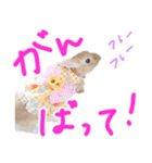 ムーさんとハッピーフレンズ！（個別スタンプ：22）