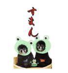 雪と黒（個別スタンプ：6）
