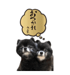 雪と黒（個別スタンプ：8）