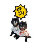 雪と黒（個別スタンプ：18）