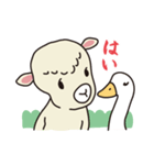 羊のヨーヨーとガーちゃん（個別スタンプ：15）