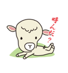 羊のヨーヨーとガーちゃん（個別スタンプ：24）
