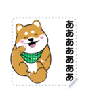 柴犬 狂犬 可愛い（個別スタンプ：6）