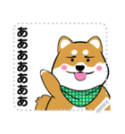 柴犬 狂犬 可愛い（個別スタンプ：11）