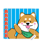 柴犬 狂犬 可愛い（個別スタンプ：15）