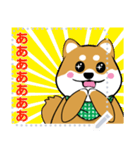 柴犬 狂犬 可愛い（個別スタンプ：16）