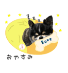 チワワのはやと（個別スタンプ：16）