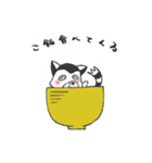 ゆるゆるワオキツネ（個別スタンプ：11）