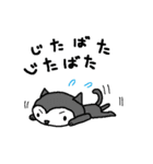 クロにゃんの基本の動き2（個別スタンプ：10）