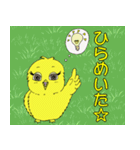 ぴよこ日和～ひよこのぴよこの日常～（個別スタンプ：13）