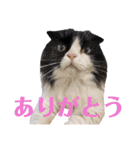 COCOココ（個別スタンプ：1）
