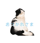 COCOココ（個別スタンプ：4）