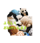 COCOココ（個別スタンプ：5）