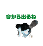 COCOココ（個別スタンプ：6）